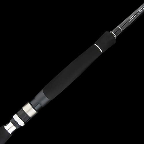 BERRYPRO Light Surf Spinning Rod Striper Fishing Rod Striped Bass surf Rod (9'/9'6''/10'6''/11'/12') - style: 9'-medium (10-20lbs)