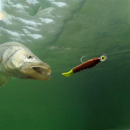 Dr.Fish 10 Pack Fishing Eyes Jigs 3D Eyes Trout Heads Bass Hook Saltwater Swimbait Jig Heads Freshwater Walleye Redfish Striper 1/2oz 3/8oz 1/4oz 3/16oz - color: Chartreuse Eyes, size: 3/16oz-Hook #1/0
