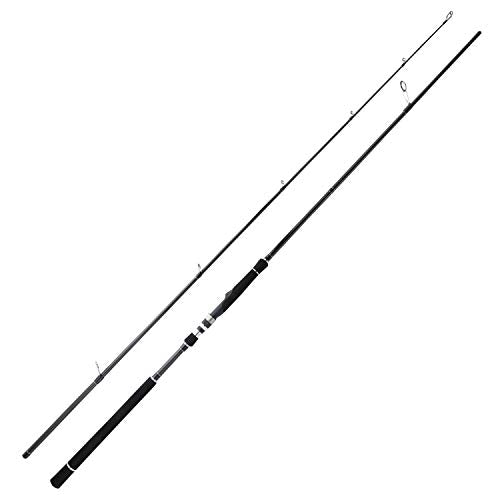 BERRYPRO Light Surf Spinning Rod Striper Fishing Rod Striped Bass surf Rod (9'/9'6''/10'6''/11'/12') - style: 9'-medium (10-20lbs)