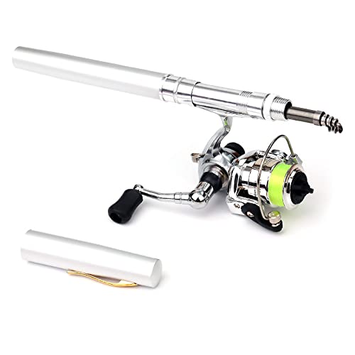 Pen Fishing Rod Kit Mini Fishing Pole Pocket Pen Rod Set Fishing Rod Pen Portable Telescopic Fishing Rod with Spinning Reel Fishing Rod Reel Combo for Travel Saltwater Freshwater Sea - color: A-01-Silver(Rod & Reel), size: 1M
