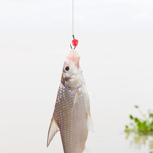PRETYZOOM 50pcs Artificial Fishing Lures Corn Grain Baits with Scent Soft Baits for Freshwater Angling Professional Fishing Supplies
