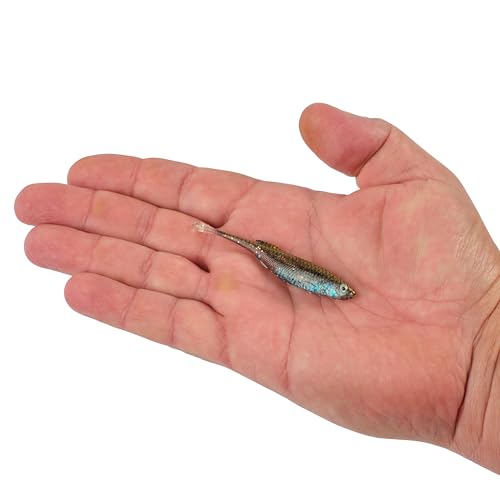 Berkley PowerBait Drip Minnow Fishing Soft Bait - color: HD Emerald Shiner, size: 3"