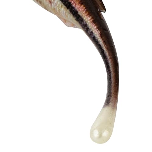 Berkley PowerBait Drip Minnow Fishing Soft Bait - color: HD Blacknose Shiner, size: 4"