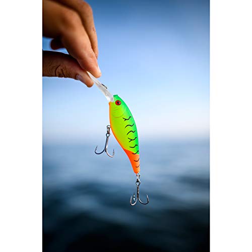 Berkley Flicker Shad Fishing Lure, Black Silver Flash, 5/16 oz, 2 3/4in | 7cm Crankbaits, Size, Profile and Dive Depth Imitates Real Shad, Equipped with Fusion19 Hook - color: Black Silver Flash, size: 2 3/4in - 5/16 oz