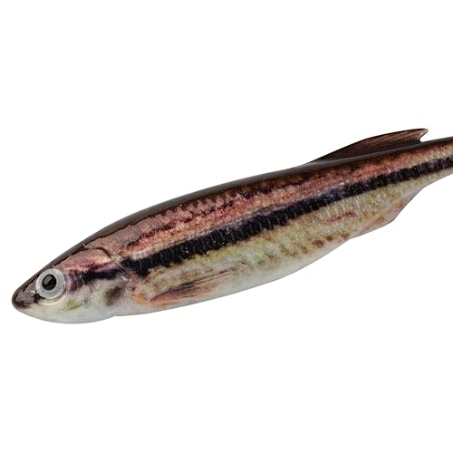 Berkley PowerBait Drip Minnow Fishing Soft Bait - color: HD Blacknose Shiner, size: 5"