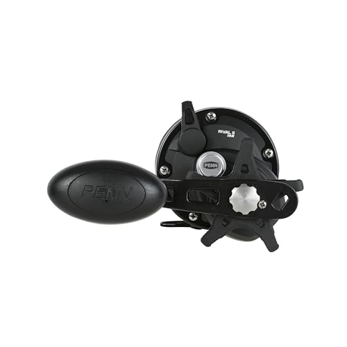PENN Rival Level Wind Conventional Fishing Reel - size: 30, style: New Model
