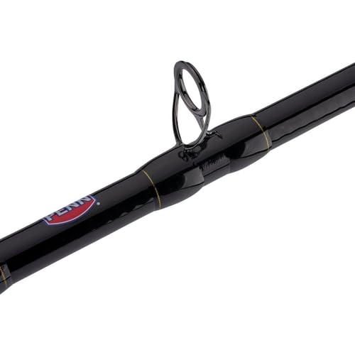 Penn Squall II Lever Drag Fishing Rod & Reel Combo - size: 40 Size Reel - 7' - Medium
