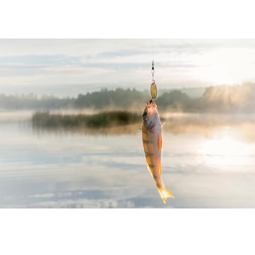 AMYSPORTS Steel Stainless Snap Swivels Saltwater Ball Bearing Fishing Swivel Lure Connector Barrel Swivels Fishing Tackle Black Nickel - size: size3 (37.9lb) 50 pcs