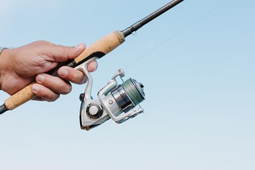 Pflueger Trion Spinning Reel - size: 30 - Clam, style: 2022 Model