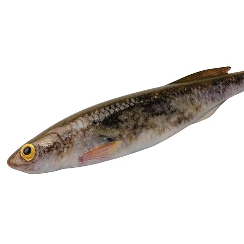 Berkley PowerBait Drip Minnow Fishing Soft Bait - color: HD Goby, size: 4"