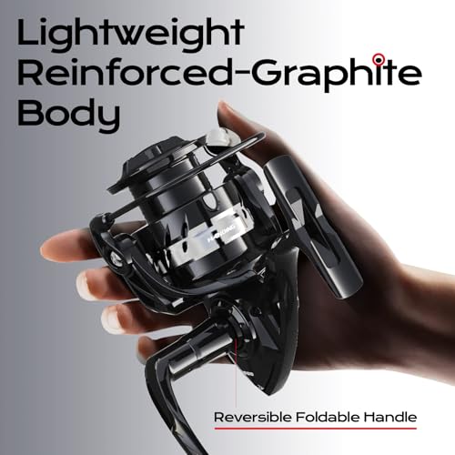 Handing LITE II Spinning Reels Freshwater Spinning Fishing Reels 14.33 Lbs Max Drag Ultra Smooth 5.2:1 Gear Ratio Aluminum Spool 3+1 BB Handle Interchangeable - size: Size 3000