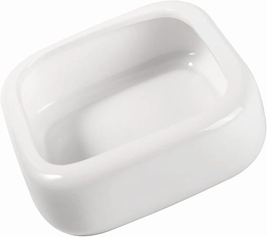 Reptile Food Bowls Ceramic Square Reptile Water Food Dish, Pet Food Bowl for Lizards, Young Bearded Dragons, Small Snakes, Gecko Tortoise Spider (White, Medium-1Pack)
