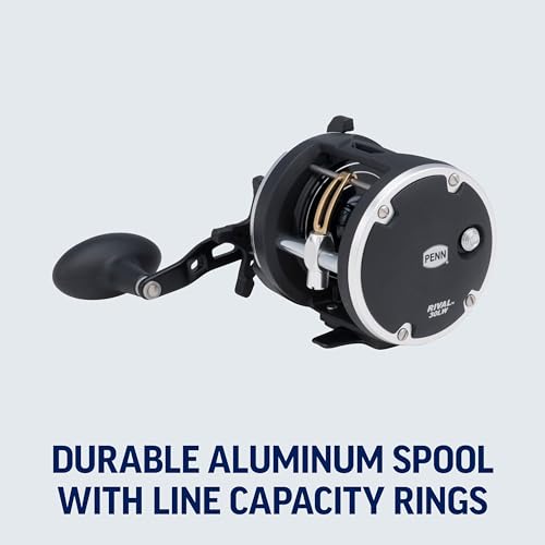 PENN Rival Level Wind Conventional Fishing Reel - size: 20, style: Old Model