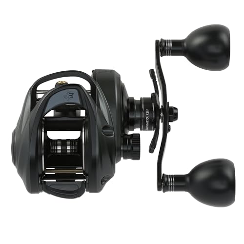 Abu Garcia Beast 300 Low Profile Baitcast Fishing Reel - style: 300 - Left Hand