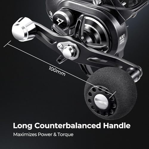 Piscifun Alinox 300 Baitcaster Fishing Reel,Aluminum Frame Baitcasting Reel, 33Lbs Max Drag, Freshwater & Saltwater Low Profile Casting Reel for Musky, Available in 6.6:1/8.1:1 Gear Ratio - color: Black-6.6:1