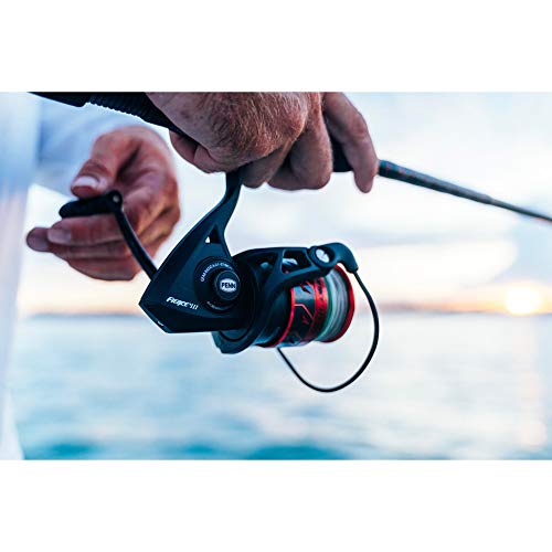 Penn Fierce III Spinning Inshore Fishing Reel, Size 2000, Right/Left Handle Position, 5 Bearings for Smooth Operation - size: 2500 - Plastic Clam, style: Fierce III