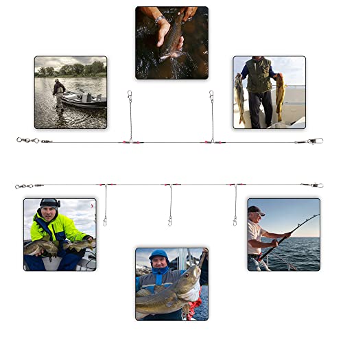 Fishing Leader Saltwater Freshwater,Stainless Steel Fish Rig with Swivel Snap Beads Connector Lure Bait and Hooks Fish Trace Lure Steel Wire Fishing Tackle Kit - color: 2arm 12pack