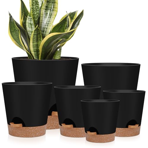 Indoor Self Watering Planters with Drainage Holes and Saucers, 8, 7, 6.5, 6, 5.5, 5 Inches, Black, 6 Pots