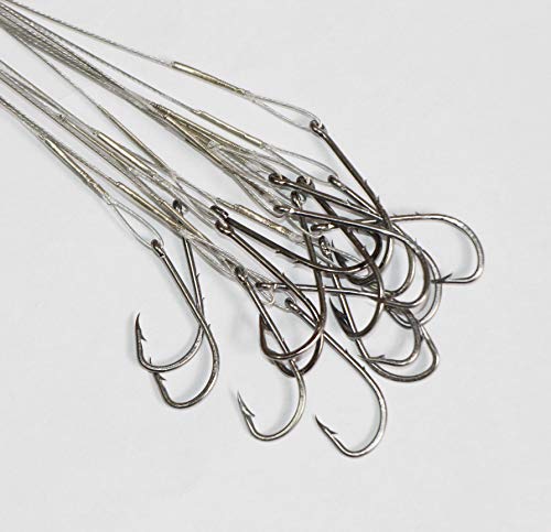 20pcs Wire Leader Hook Rigs Baitholder Fishing Hook Nylon Coated Fishing Wire Leader with Swivel - color: 10inch silver, size: 1#-20pcs