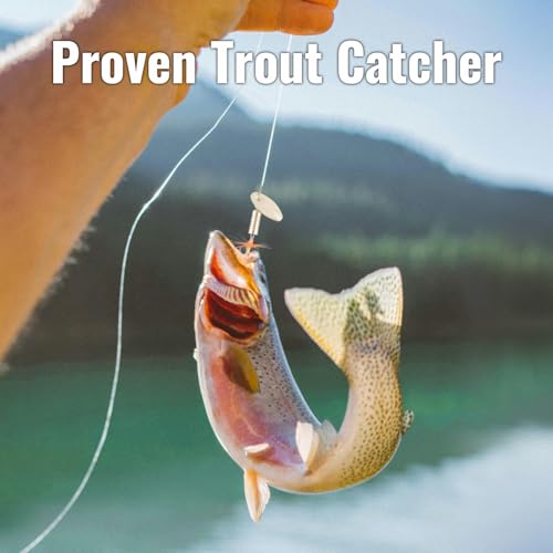 Trout Spinnerbait Lures Inline Rooster Tail Fishing Kit Brass Spinner Baits with Smooth Rotation Flash Blade for Bass Pike Crappie Saltwater Freshwater Lake River 360 Balance Hook - color: 1/8 oz