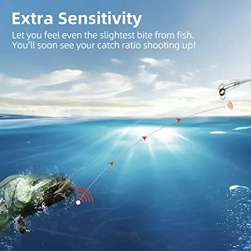 RUNCL Fluorocarbon Fishing Line, PowerFluoro Clear Ice Fishing Leader Line - Virtually Invisible, Faster Sinking, Extra Sensitivity, 300/500/1000yds, 5-32lb Break Strength, Fishing Gifts - size: 6 lb - 300 yds