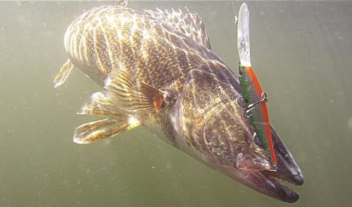 Berkley Flicker Minnow Fishing Hard Bait - color: Firetail Hot Perch, size: 3 Inch - 1/4 oz