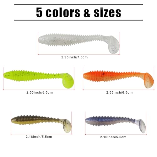 Soft Fishing Lures, 6.5cm/8cm Paddle Tail Swimbaits Soft Plastic Lures Kit for Bass Trout Walleye Crappie 30pcs/40pcs… - color: A-5.5cm/2.16in-50pcs