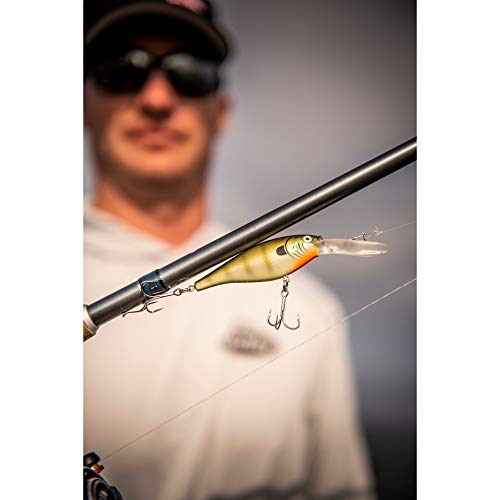 Berkley Flicker Shad Fishing Lure, Black Gold, 1/2 oz, 3 1/2in | 9cm Crankbaits, Size, Profile and Dive Depth Imitates Real Shad, Equipped with Fusion19 Hook - color: Black Gold, size: 3 1/2in - 1/2 oz