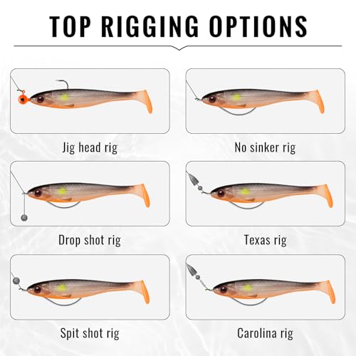 TRUSCEND Shadtale Easy Catch Soft Fishing Lures, Unique Vibration and Action for Various Rigs, Paddle Tail Swimbaits Trailer for Bass, Trout, Crappie, Walleye, Redfish, Saltwater & Freshwater Fishing - color: 5",12pcs,0.6oz