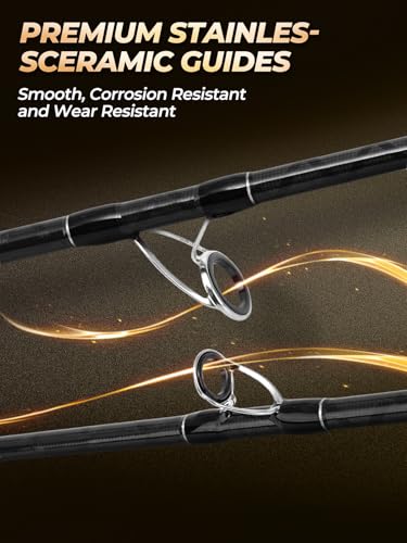 Jenseits Carbon Fiber Fishing Rod Series (6-12 Ft), Spinning & Casting Rods with Stainless Steel Ceramic Guides, Fast Action Fishing Pole for Bass, Trout, Walleye & Surf Fishing - size: 10'0"-Heavy-Fast-Black