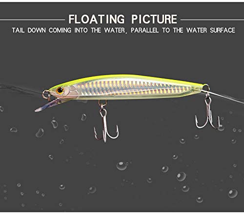 5 1/2" Floating Minnow Lure - 5 Colors to Choose from - color: All 5 Colors