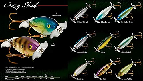 Cotton Cordell Crazy Shad Spinning Topwater Fishing Lure, 3 Inch, 3/8 Ounce - color: Chrome Blue Back