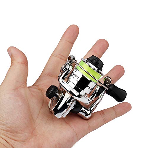 Lixada Fishing Rod Reel Combo Mini Pen Fishing Pole Kit Telescopic Fishing Rod Spinning Reel Combo Kit - color: Silver, size: 1.0 m