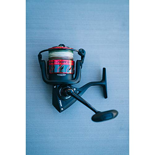 Penn Fierce III Spinning Inshore Fishing Reel, Size 2000, Right/Left Handle Position, 5 Bearings for Smooth Operation - size: 2500 - Plastic Clam, style: Fierce III