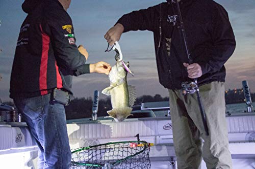 Bandit Walleye Minnow Jerkbait Fishing Lure, Deep (Trolls to 27"), Sprinkles, 4.5 Inch, 5/8 Ounce