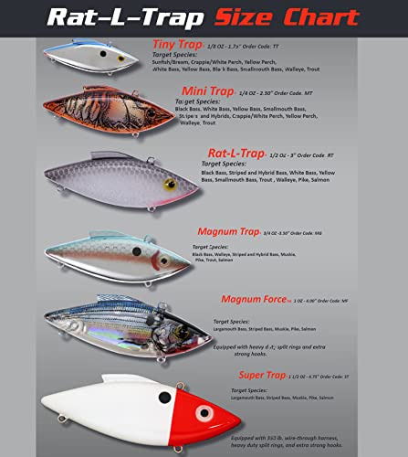 Bill Lewis Fishing-topwater-Lures-and-crankbaits - color: Chrome Blue Back