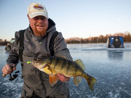 Northland Tackle Rigged Tungsten Pin Fry Ice Fishing Jig with Minnow Fry Body, 2 Pre-Rigged Jig Heads & 3 Extra Ice Fishing Plastics, Tungsten Jig Heads for Panfish, 1/28 Oz, Tiger Beetle