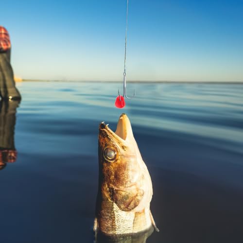 Garneck 200pcs Bionic Simulation Lure Artificial Corn Carp Fishing Lures Floating Silicone Baits Reusable Soft Baits for DIY and Ocean Beach Fishing