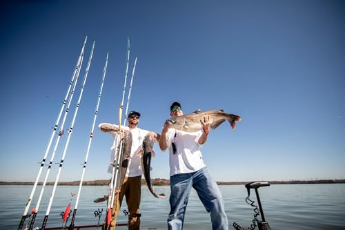 Ugly Stik Catfish Special Spinning Fishing Rod - size: 7' - Medium Heavy - 15-30lb - 1pc, style: Old Model