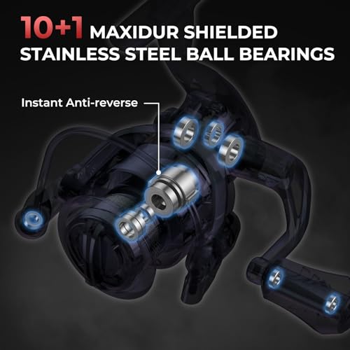 KastKing Sharky Spinning Reel – 5.2:1 & 6.2:1 Gear Ratios, Carbon Fiber Drag 33–39.5LB, 10+1 Stainless Bearings, Lightweight Nylitech Body, Oversize Shaft, for Saltwater & Freshwater - color: 5.2:1-Sharky III, size: 5000