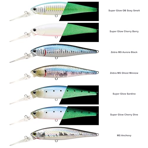 LUCKY CRAFT Pointer 100DD-S, Saltwater Surf Fishing Lures, Jerkbait, Halibut, Surf Perch, Calico Bass, White Seabass, Striped Bass, Sinking, Fishing Gear - color: 748 Super Glow Cherry Dine