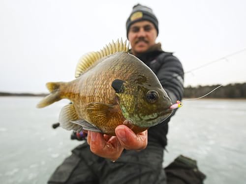 Northland Tackle Rigged Tungsten Pin Fry Ice Fishing Jig with Minnow Fry Body, 2 Pre-Rigged Jig Heads & 3 Extra Ice Fishing Plastics, Tungsten Jig Heads for Panfish, 1/28 Oz, Tiger Beetle