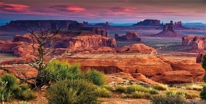 30X18IN Desert Loess Rock Cactus Oasis Reptile Habitat Background, Natural Sunset Desert Themed Terrarium Background, Aquarium Background with 10 EVA Double-Sided Tape