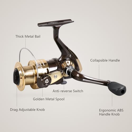 Spinning Fishing Reel for Freshwater Saltwater Fishing, Anti-Reverse with Front-Adjustable Drag - style: Gf5000 ( 3 Ball Bearings )