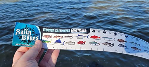 Salty Bones Florida Saltwater Lawsticker - 36" Sticker Ruler - Made in The USA - Latest Version