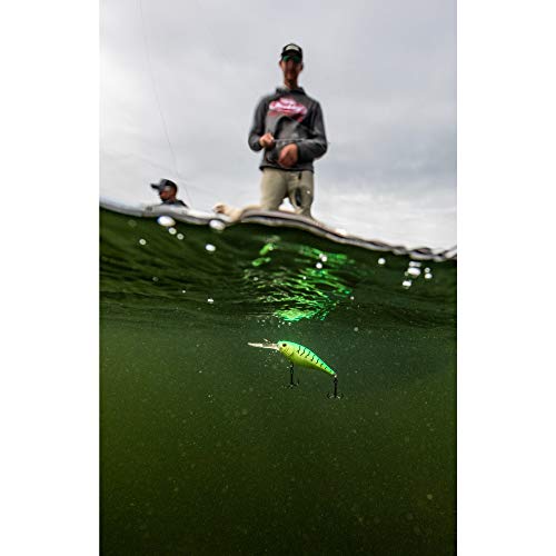 Berkley Flicker Shad Fishing Lure, Black Brass, 5/16 oz, 2 3/4in | 7cm Crankbaits, Size, Profile and Dive Depth Imitates Real Shad, Equipped with Fusion19 Hook - color: Black Brass, size: 2 3/4in - 5/16 oz