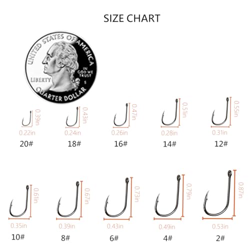 AMHDV 300Pcs/ 500Pcs/ 1000Pcs Small Fishing Hooks, 10 Different Sizes Tiny Fish Hook Set for Freshwater - style: 1000pcs (2# to 20#)