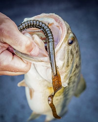 Berkley PowerBait Power Worms Fishing Soft Bait - color: Black Blue Fleck, size: 10" (8 Count)