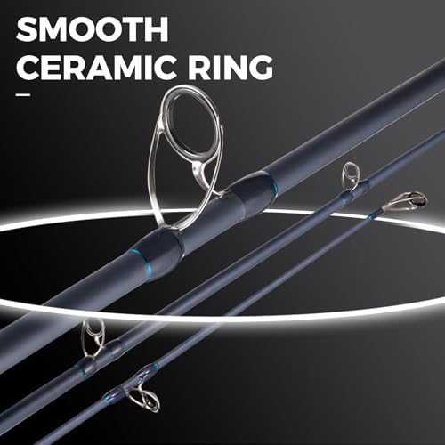 Surf Rod Graphite Surf Spinning Fishing Rod with Seaguide Reel Seat - size: 9' - 2 Piece