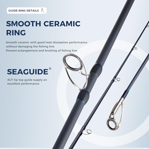 Surf Rod Graphite Surf Spinning Fishing Rod with Seaguide Reel Seat - size: 9' - 2 Piece
